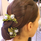 Chignon